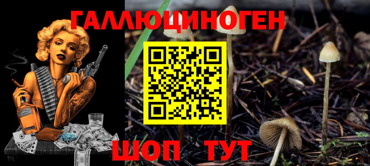 Псилоцибиновые грибы Magic Shrooms Чусовой